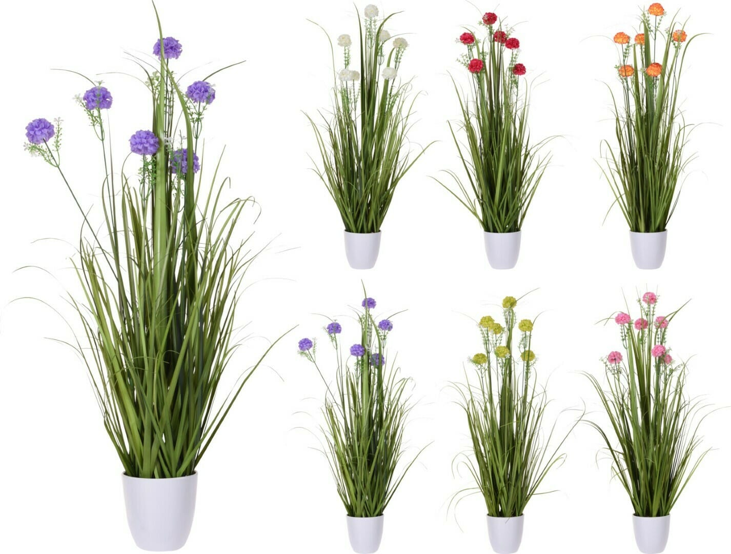 Sumarblóm Nellikur í potti 6 litir