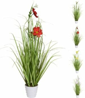 Pottablóm - sumarblóm