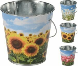 CITRONELLA Kerti í fötu