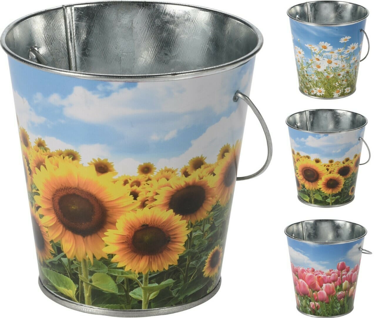 CITRONELLA Kerti í fötu