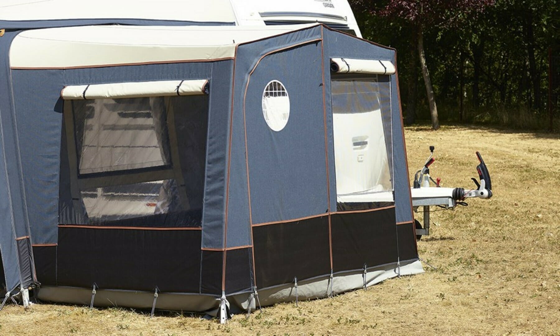 Fortjald Ambassador Dawn frá Isabella SÉRPÖNTUN - Image 11