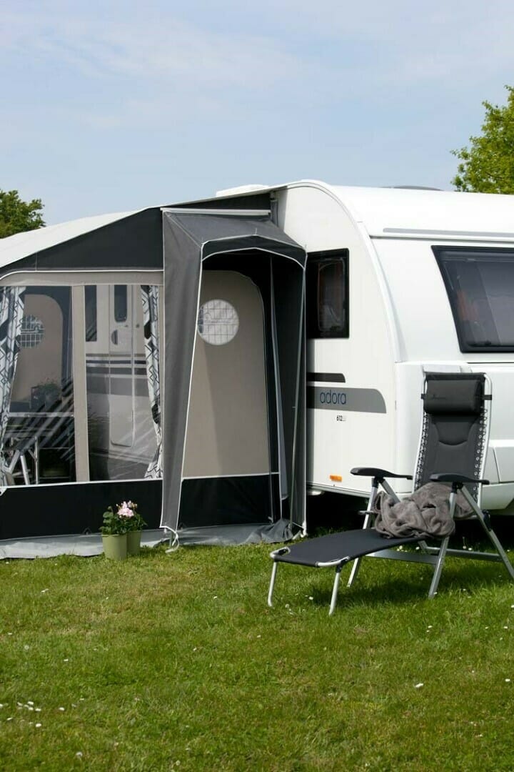 Fortjald Ambassador Dawn frá Isabella SÉRPÖNTUN - Image 34