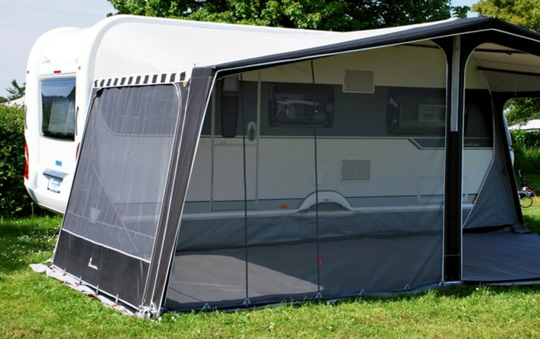 Fortjald Ambassador Dawn frá Isabella SÉRPÖNTUN - Image 29