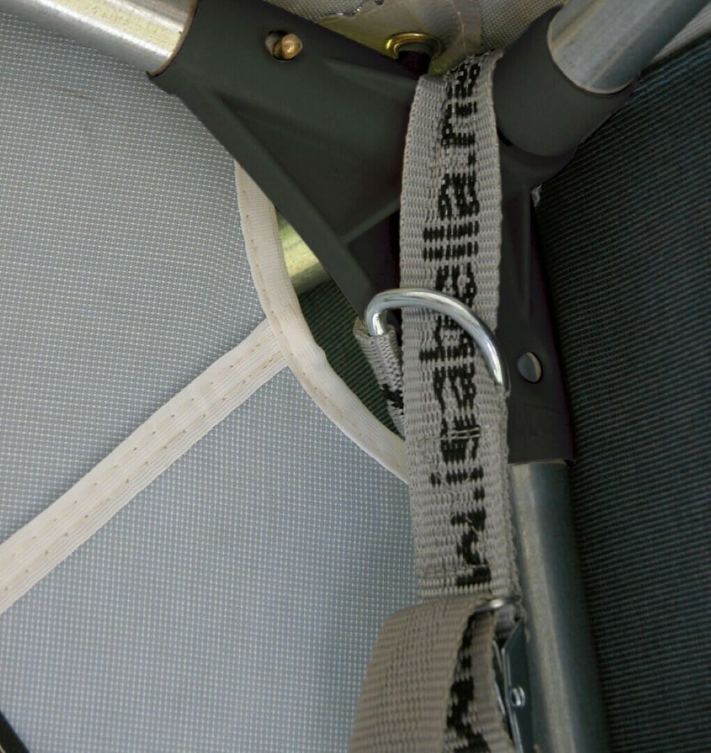 Fortjald Ambassador Dawn frá Isabella SÉRPÖNTUN - Image 37