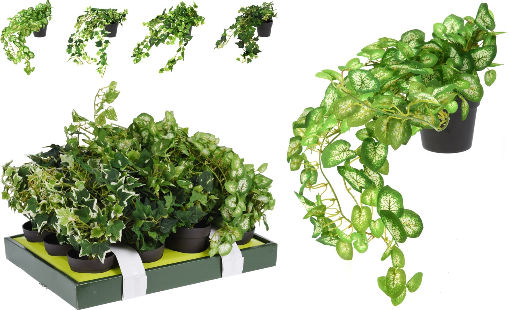 Pottablóm hangandi 40cm