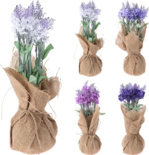 Planta í striga 9x9x26cm