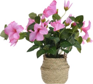 Sumarblóm í körfu 35x20x20cm