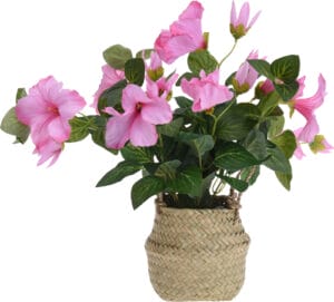 Blóm lítil og stór